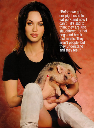 Illustration for article titled Megan Fox Mega Gallery 3